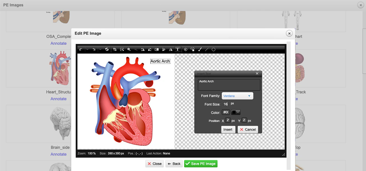 screenshot of Nexus EHR